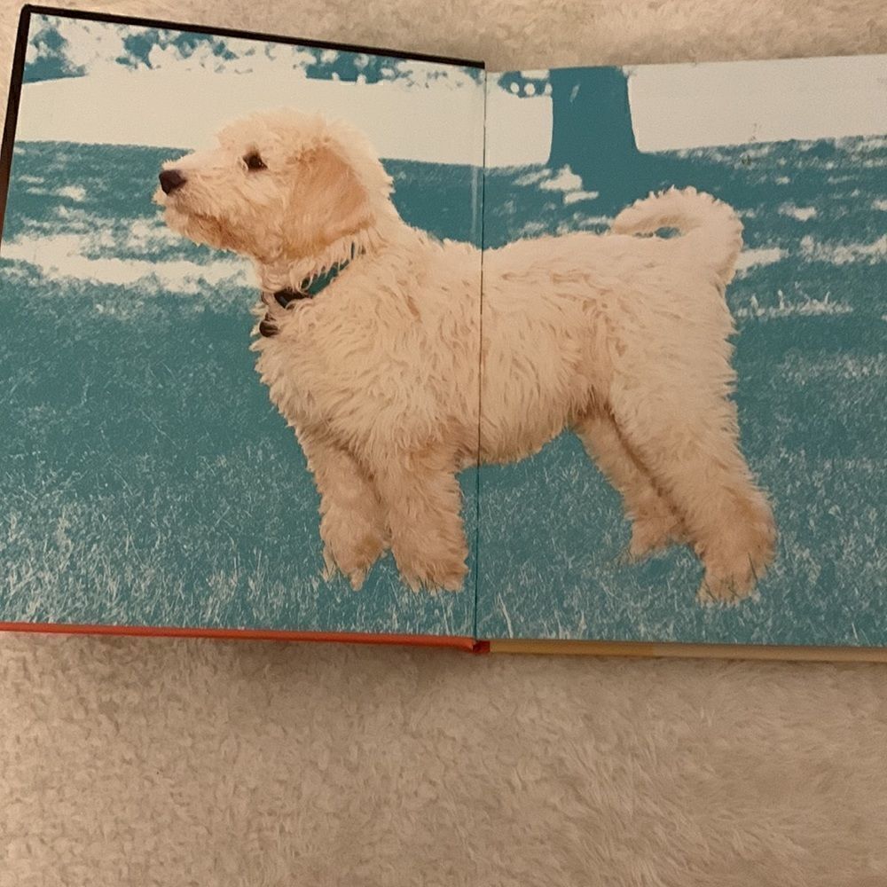 Miriam Fields-Babineau Labradoodle Hard Cover Training Book‎ - Picture 3 of 5